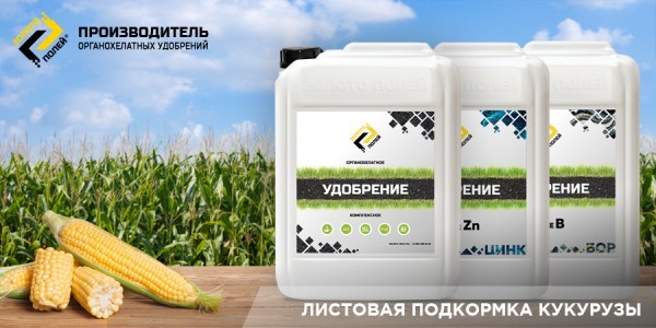Картинка статьи «Листовая подкормка кукурузы» | Золото Полей