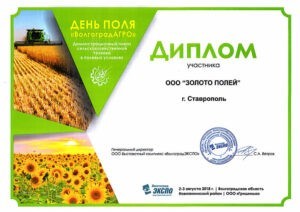Day-of-field-2018