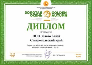 Golden-Autumn-2018