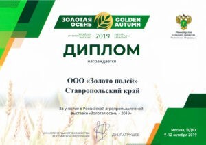Golden-Autumn-2019